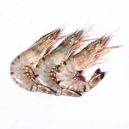 Wild Tiger Prawn (smaller, 25-30 count/kg)